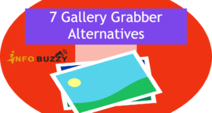 Gallery Grabber Alternatives